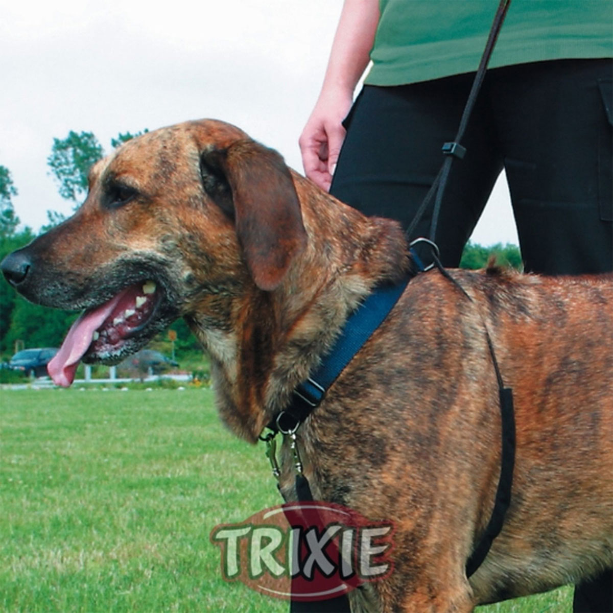 Trixie easy walk sale