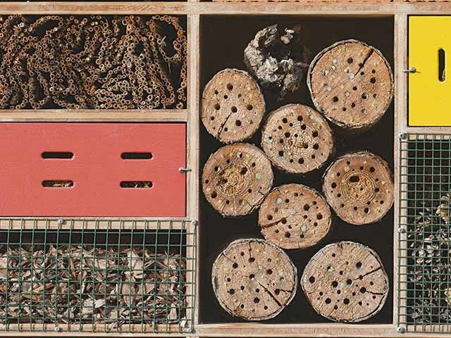 DIY-Insektenhotel DIY-Insektenhotel