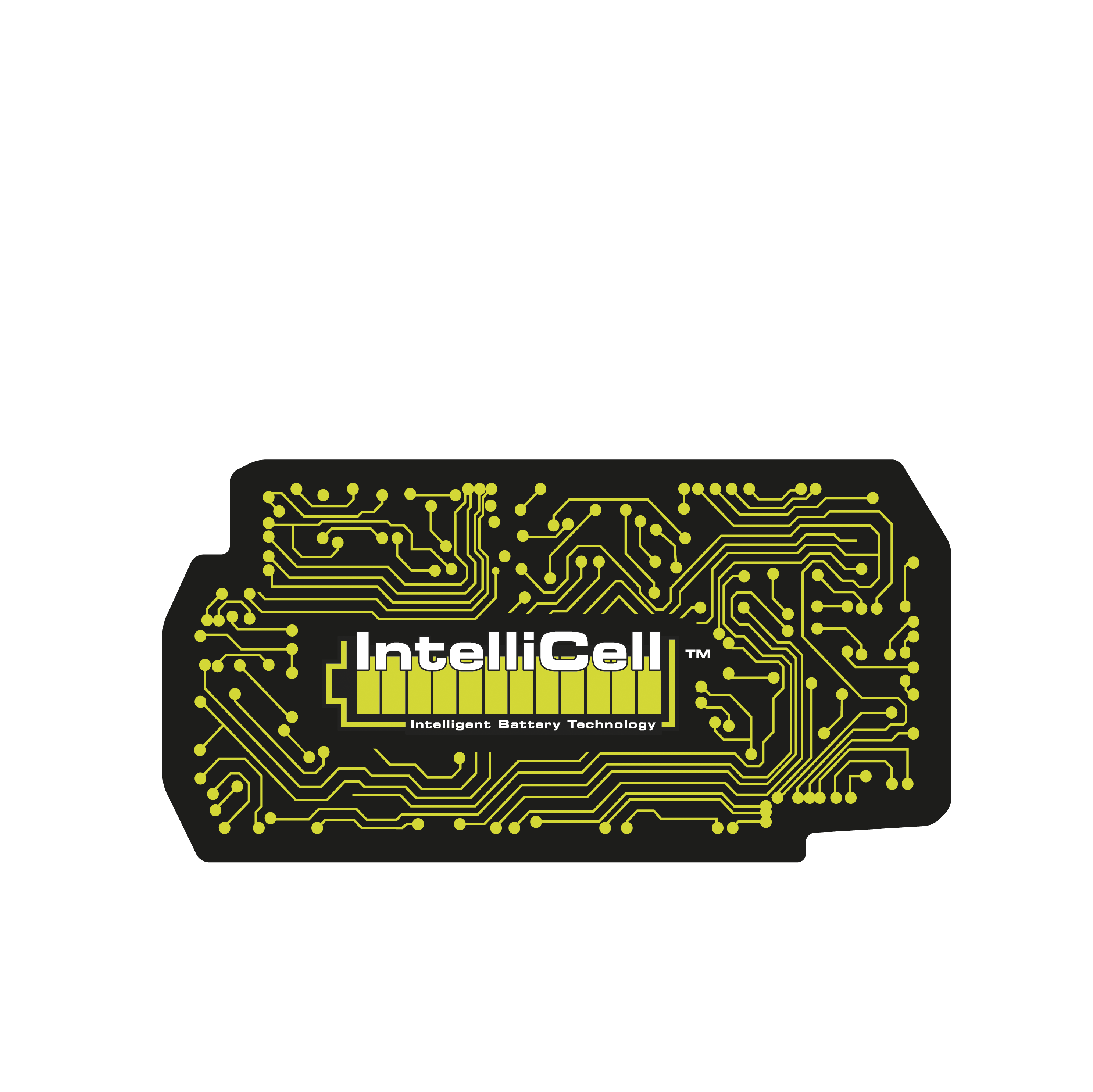 IntelliCell_36V_Battery_Brain--Graphic_Grn_2 IntelliCell_36V_Battery_Brain--Graphic_Grn_2