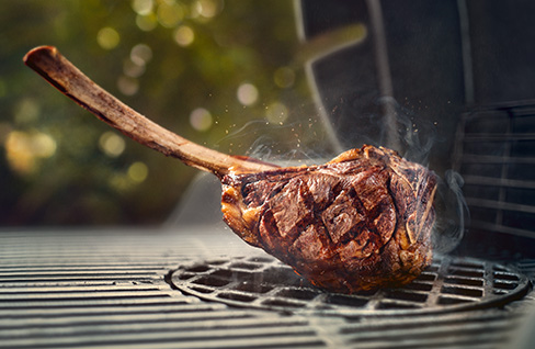 sear-Zone sear-Zone